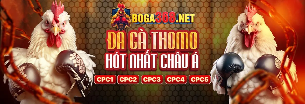 Chương trình VIP 8ket