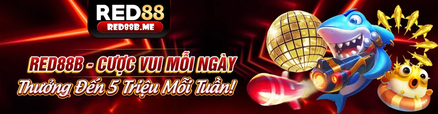Hoàn trả 8ket hàng tuần